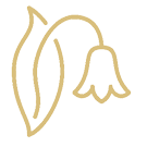 Stylizowane, złote logo firmy Archon przedstawiające elegancki, zarysowany kwiat dzwonka z listkiem.